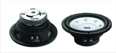 Subwoofer 12 inch pybc300